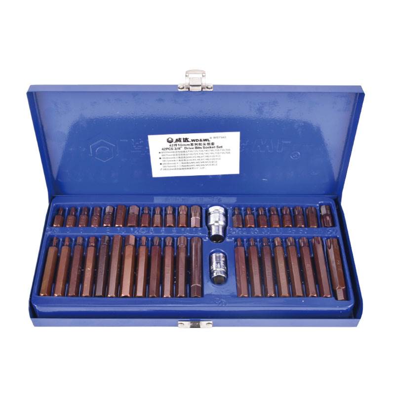 42件10mm系列批頭組套