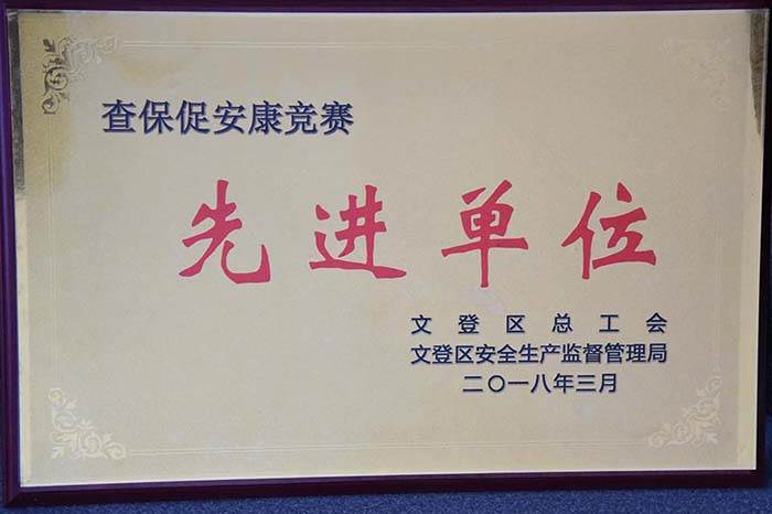 牌.jpg 威力工具集團(tuán)公司再獲安全生產(chǎn)殊榮(圖5)